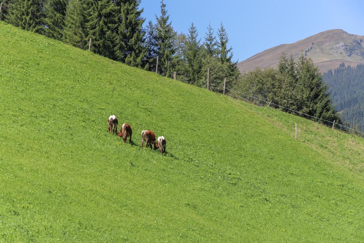 Landhaus Hinterglemm Apartment Saalbach-Hinterglemm Ngoại thất bức ảnh