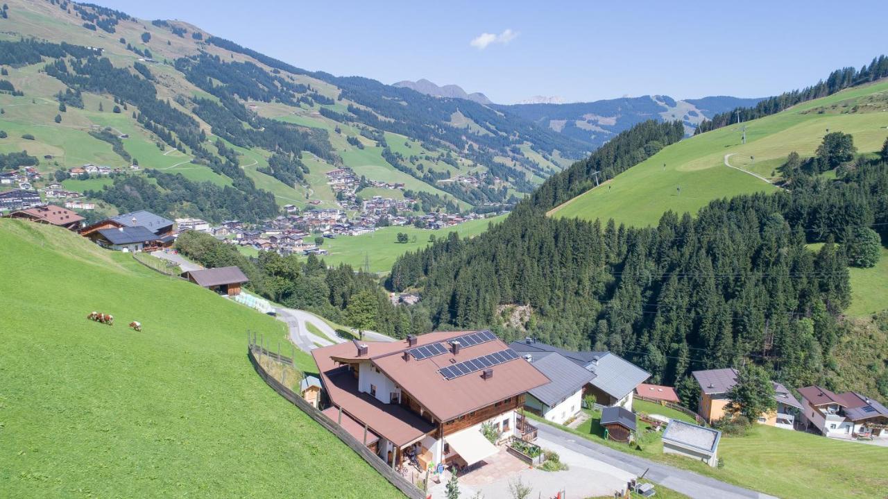 Landhaus Hinterglemm Apartment Saalbach-Hinterglemm Ngoại thất bức ảnh